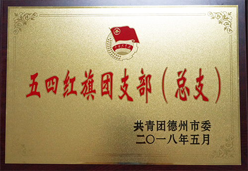 乐鱼官网app登录入口-乐鱼（中国）
荣获“德州市五四红旗团支部”荣誉称号